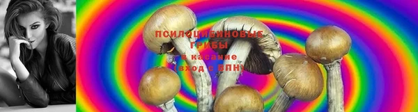 шишки Баксан