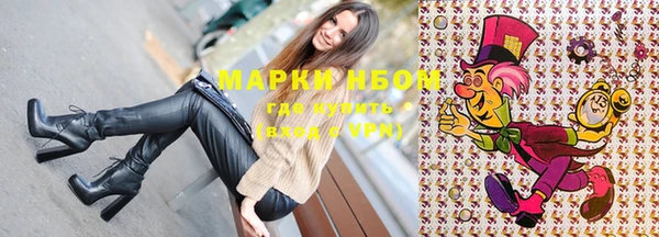 шишки Баксан
