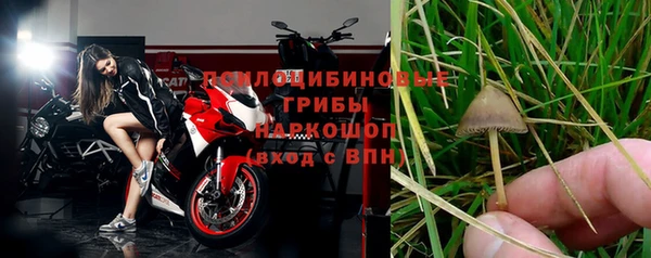 шишки Баксан