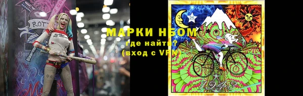 тгк Новодвинск