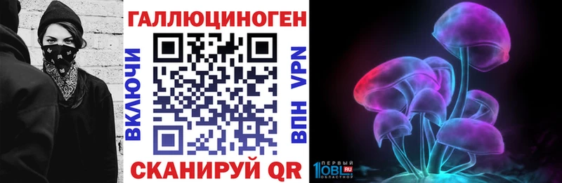 Галлюциногенные грибы Psilocybe  Шагонар 