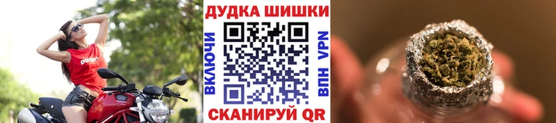 что такое   Шагонар  Шишки марихуана план 